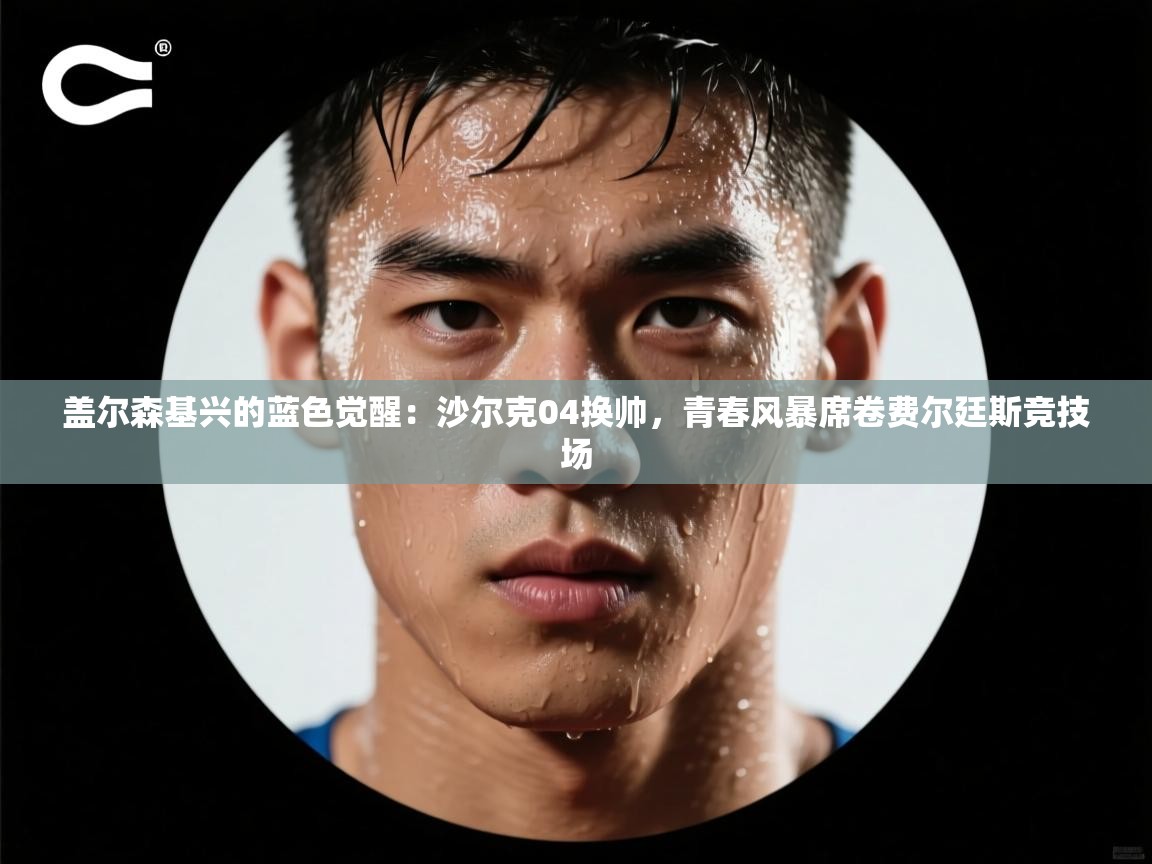 盖尔森基兴的蓝色觉醒：沙尔克04换帅，青春风暴席卷费尔廷斯竞技场  第1张