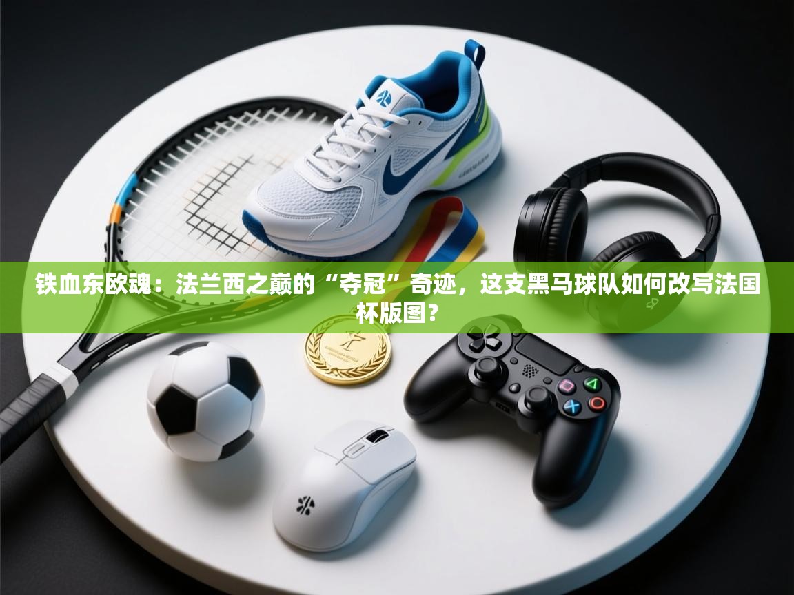 铁血东欧魂：法兰西之巅的“夺冠”奇迹，这支黑马球队如何改写法国杯版图？  第1张